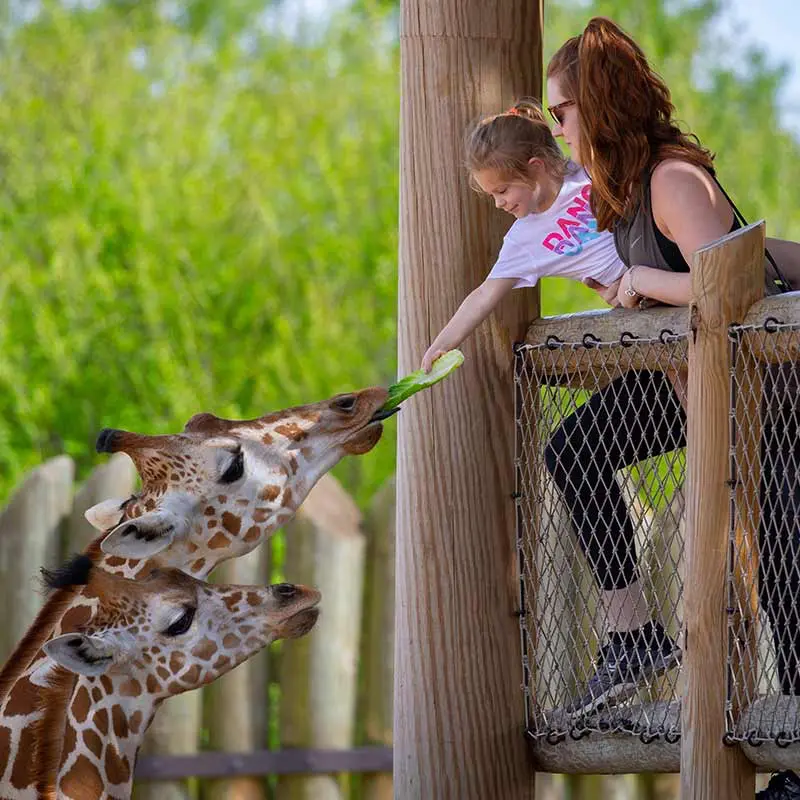Caldwell Zoo near Logan's Way RV Park