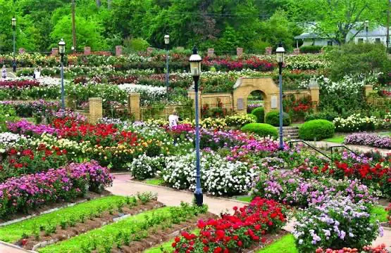 Tyler Rose Garden near Logan's Way RV Park